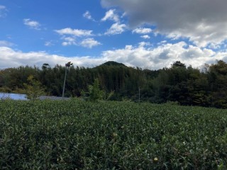 【APM】愛知県新城市庭野発電所のメイン画像