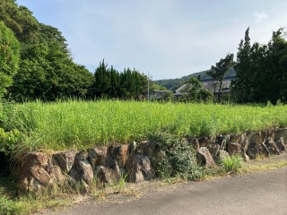 【RH】西海市大瀬戸町松島低圧1区画のサブ画像